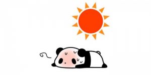 暑い季節、だからこそ….